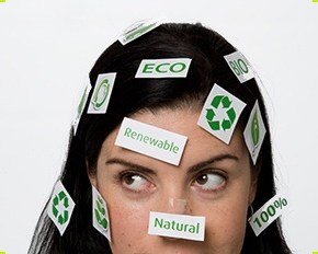 Demystifying Ecolabels