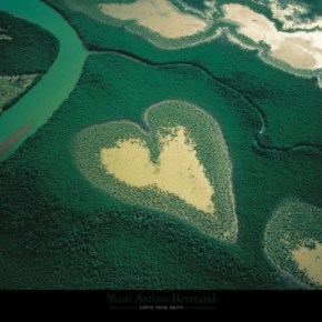 The Green Is (Officially)&nbsp;In!