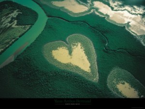 Coeur de Voh by Yann Arthus-Bertrand