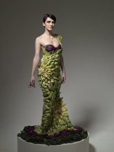 Veggie dress by Ted Sabarese
