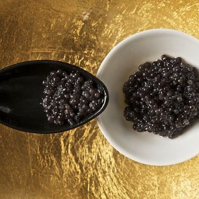 Craving for Caviar?