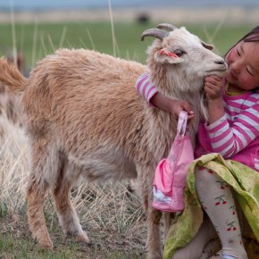 Welcoming the Green&nbsp;Goat