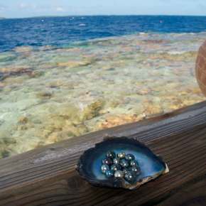 Helping Pearls Keep Their&nbsp;Lustre