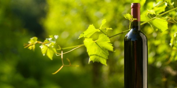 Organic_and_biodynamic_wine_production_facts_2