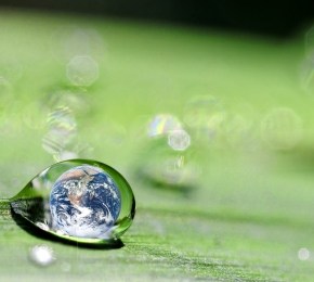 Fighting Climate Change With Your&nbsp;Wardrobe